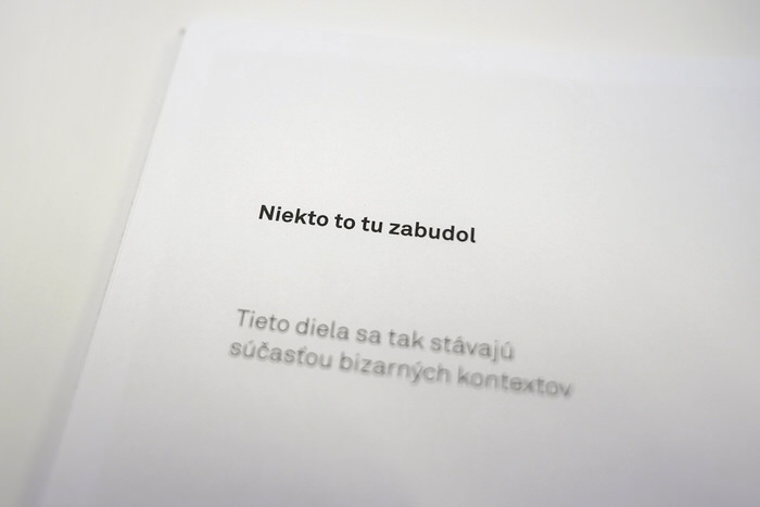 viazanicka book kniha 7