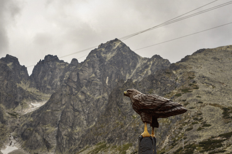 viazanicka From Tatras to Danube 7